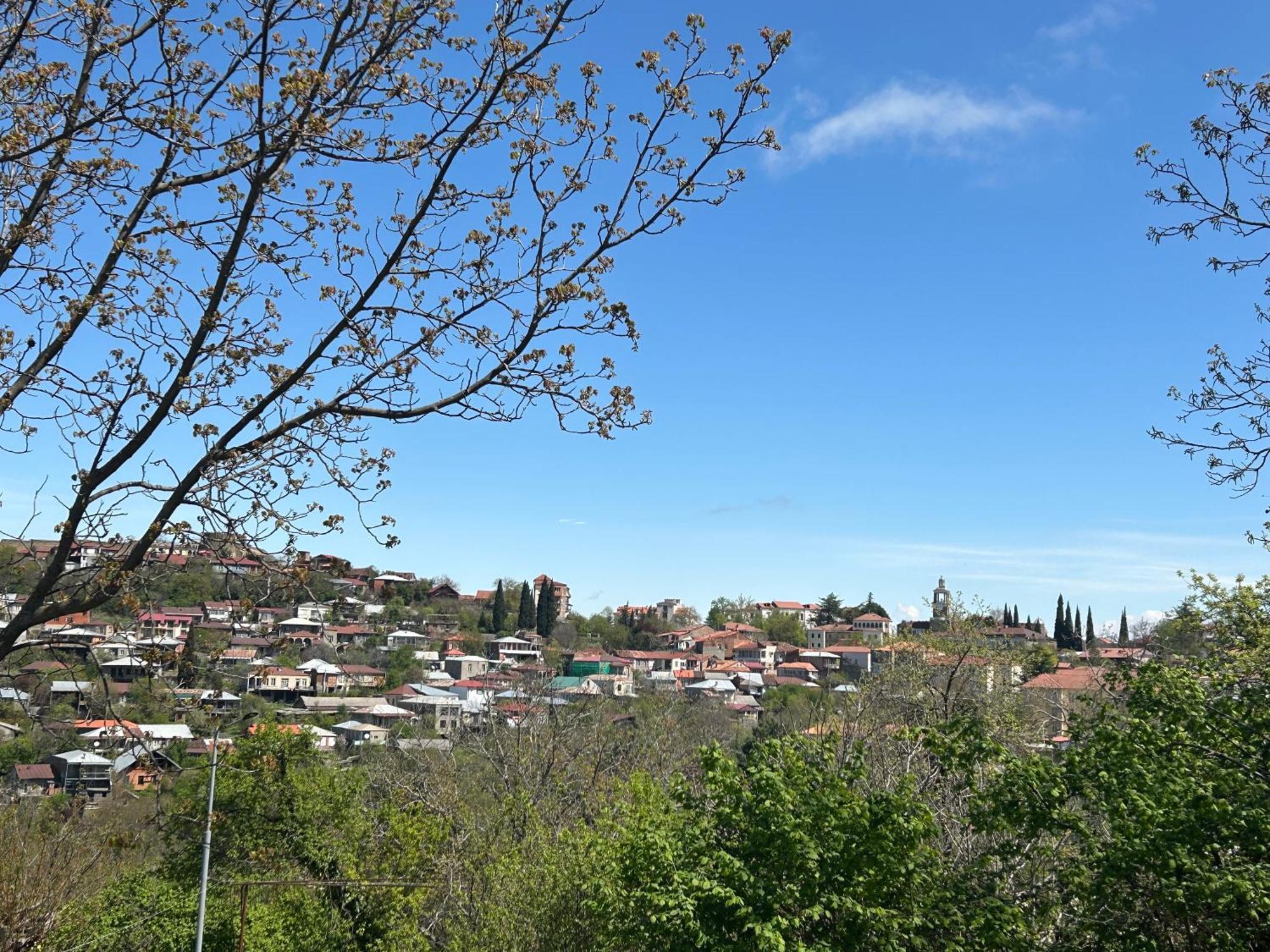 Guest House Maradona Siğnaği Dış mekan fotoğraf